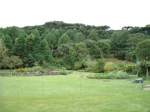 Brasilien Armandos Garten