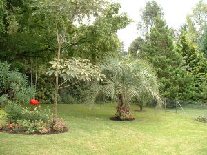 Brasilien Armandos Garten