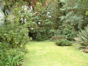 Brasilien Armandos Garten