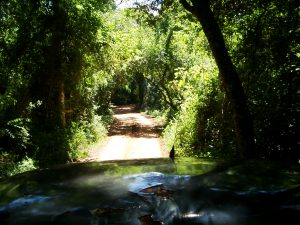 Brasilien Durch den argentinischen Urwald zu den Wasserfällen