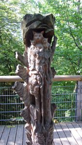 Der Baumwipfelpfad im Nationalparkzentrum Thiensburg