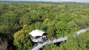 Der Baumwipfelpfad im Nationalparkzentrum Thiensburg