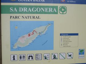 Sa Dragonera Unsere erste Station auf Malle