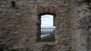 Blick vom Drachenfels