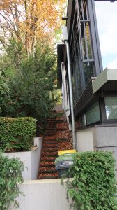 Die Treppe zum Haus, die Adenauer jeden rauf und runter gehen mußte; heute leider nicht mehr begehbar