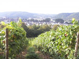 Bad Hönningen vom Schloß aus